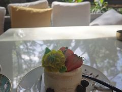 -深圳威尼斯英迪格酒店-邻芙花廊下午茶·NINFA GALLERY·蛋糕·咖啡