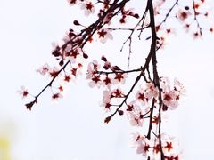 -北坞公园