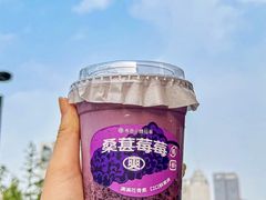 生椰桑葚莓莓-书亦烧仙草(锦城学院店)