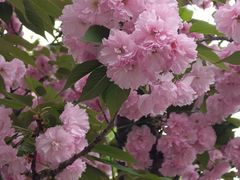 -金稼园·金平湖农家菜