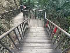 -七仙岭温泉国家森林公园