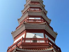 -分塔山省级森林公园