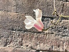 -东华门大街小区