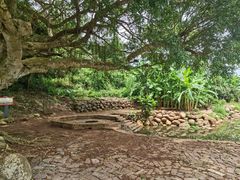 -硇洲岛旅游区