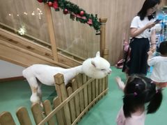 -藦茜花园宠物主题亲子互动体验馆(国顺东路店)
