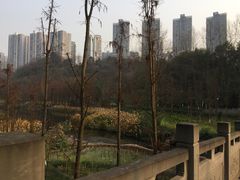 -重庆彩云湖湿地公园