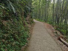 -千泷沟大瀑布旅游区