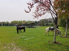 -合肥三国新城遗址公园