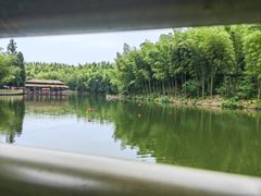 -蜀南竹海景区