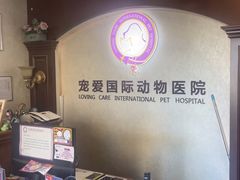 -宠爱国际动物医院·疑难骨科·心肾内科·皮肤科(太阳宫店)