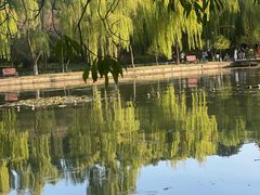 -柳浪闻莺公园