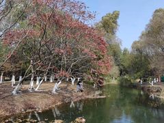 -长白岛森林公园