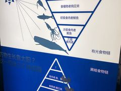 -同济大学四平路校区深海探索馆