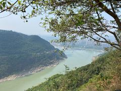 -铁山坪森林公园