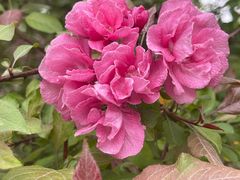 -元大都城垣遗址公园