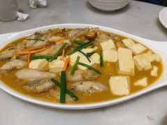 龙鱼炖豆腐-华盛丰温州大排档(东三环南路店)