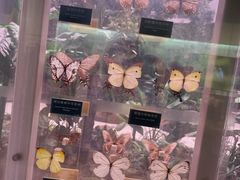 -陕西自然博物馆