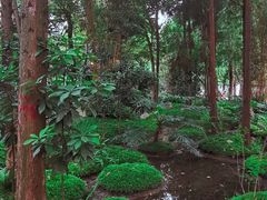 -成都市活水公园