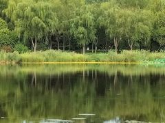 -北坞公园