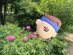 -北陵公园