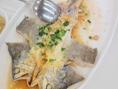 -渔意楼·驰名沙田乳鸽(五羊店)