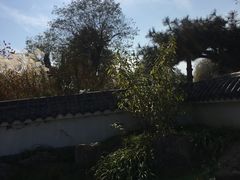 -观唐（国际）度假村温泉