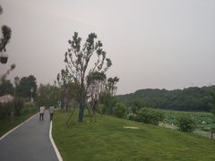 -月湖风景区