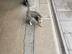-龙华寺