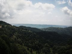 -临潼印象·特色陕菜