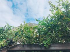-望海·帆船主题咖啡厅•品茗下午茶(石湖景区店)