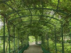 -乌山风景区