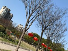 -新江湾城公园