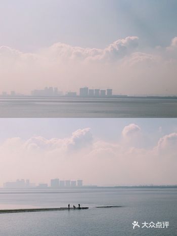 下沙青年林  钱塘江边一片(块)小树林  看网图感觉