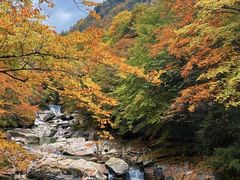 -光雾山旅游景区