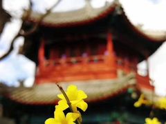 -北京市府学胡同小学