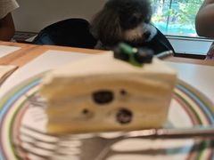 -姆们M Sweetie Cake(五道口店)