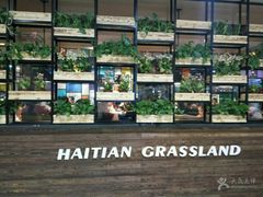 -海天牧场(银川商城店)