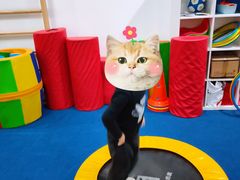 -蜩动儿童运动成长馆(恒生万鹂广场店)