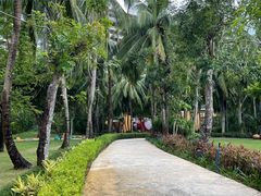 -三亚湾海居铂尔曼度假酒店