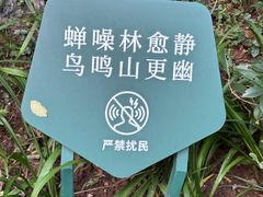 -北极阁公园