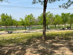 -马家湾湿地公园
