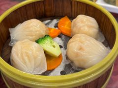 -一煲鸽