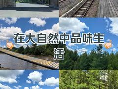 -莫尔道嘎国家森林公园