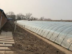 -甜心庄园·甜心草莓采摘园(西青中北店)