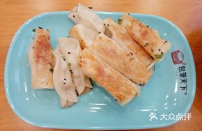 Pan-Fried Dumplings