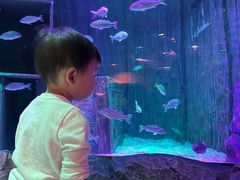 -沈阳海洋探索中心