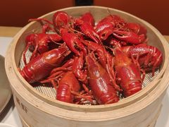 -杨氏青龙虾·羊蝎子(托乐嘉店)
