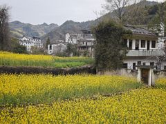 -石潭村