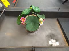 -单家老院·院子里的青岛菜(沙子口店)