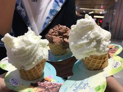-野人先生现做冰淇淋(北京环宇荟店)